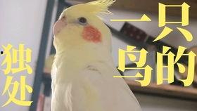 相爱相杀日常吃瓜,娱乐圈的甜蜜与苦涩