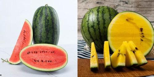 摔瓜是什么瓜怎样吃,探究“摔瓜是什么瓜”及独特食用方法