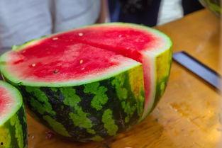 带你吃瓜大学宿舍,揭秘校园生活新风尚