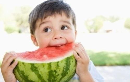 畜牲吃瓜,揭秘动物们的“吃瓜”生活