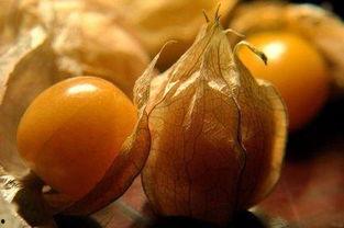 绛珠理性吃瓜,揭秘娱乐圈幕后真相