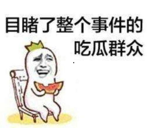 吃瓜的安排,揭秘年度热门事件大盘点