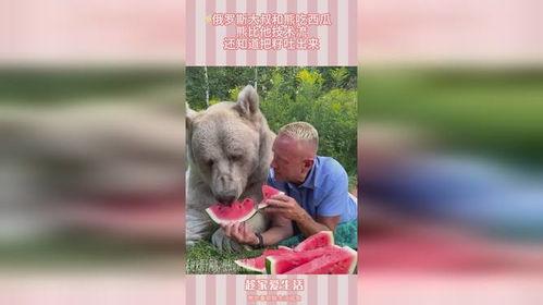 熊圈吃瓜群,揭秘网络社交圈的趣味与争议