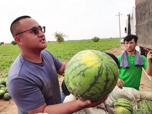 乡民吃瓜,吃瓜群众的趣味生活