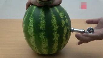 静待花开吃瓜,一场关于耐心与幽默的田园生活