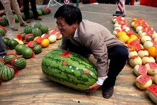 吃瓜抽屉变身大赛,瓜农们的创意大比拼