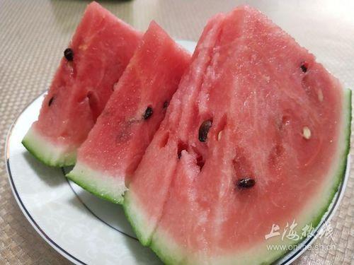 全国吃瓜最强省,揭秘瓜界霸主的风采与魅力