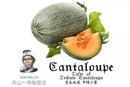 01号吃瓜群众,揭秘娱乐圈幕后风云