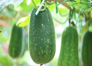 极越吃瓜,揭秘娱乐圈最新热点事件