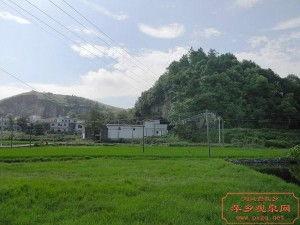 萍乡赤山镇吃瓜事件