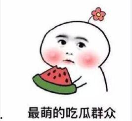 吃瓜群众何小杰,揭秘吃瓜群众的趣味生活