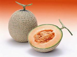 吃哈密瓜荔枝,哈密瓜与荔枝的甜蜜邂逅