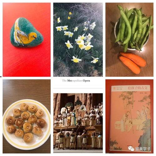 丹东疫情吃瓜,吃瓜群众视角下的防疫战记