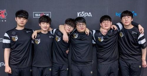 吃瓜小组007沈阳,揭秘沈阳美食圈那些事儿