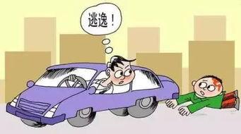 瓜哥带你吃大瓜跳科目三,趣味学习，一路绿灯