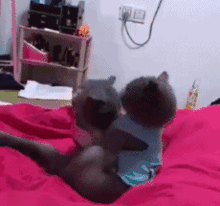 gif 吃瓜观众,揭秘网络围观背后的心理现象