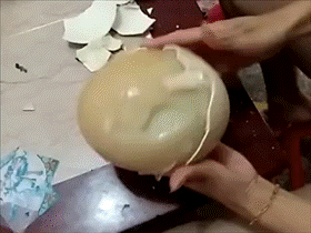 gif 吃瓜观众,揭秘网络围观背后的心理现象