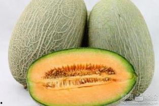 老虎吃哈密瓜,一场惊心动魄的动物对决