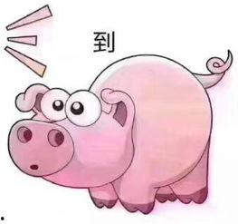 老猪吃瓜音,揭秘娱乐圈那些不为人知的幕后故事