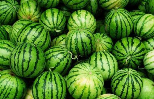 吃瓜吃哪,探寻网络热词背后的文化现象