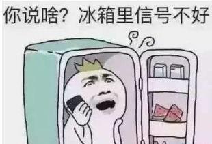 高温天老板请吃瓜,老板请客共享清凉瓜果时光