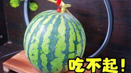 高温天老板请吃瓜,老板请客共享清凉瓜果时光