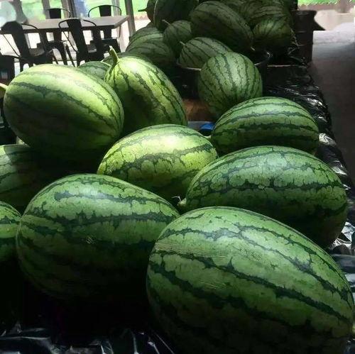 18吃瓜爆料,揭秘娱乐圈幕后真相